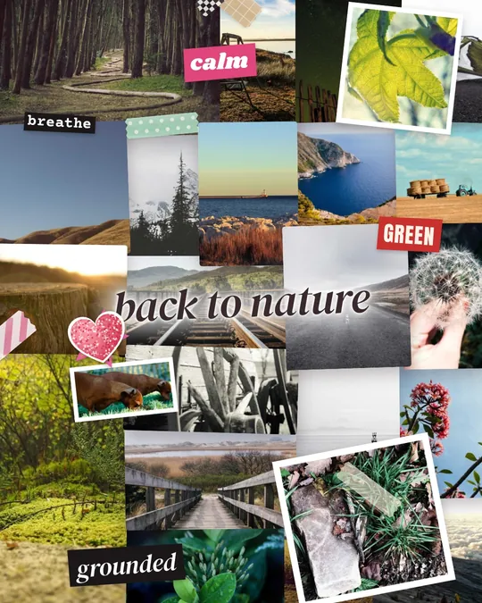 サンプル写真を使ってMiraでつくったコラージュスタイルのビジョンボード「Back to nature」